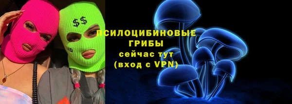 ГАЛЛЮЦИНОГЕННЫЕ ГРИБЫ Валуйки