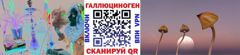 Галлюциногенные грибы Cubensis  купить   Верхняя Пышма 