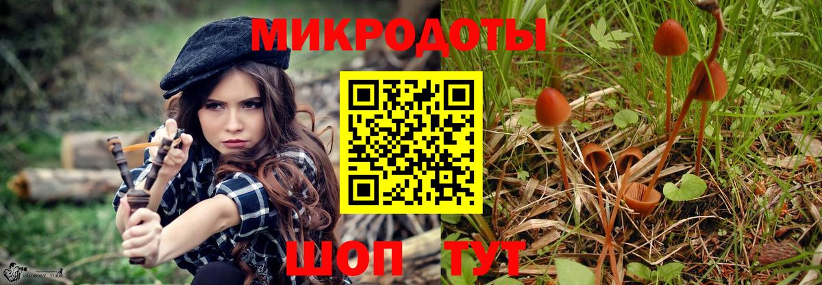 Псилоцибиновые грибы Magic Shrooms Верхняя Пышма