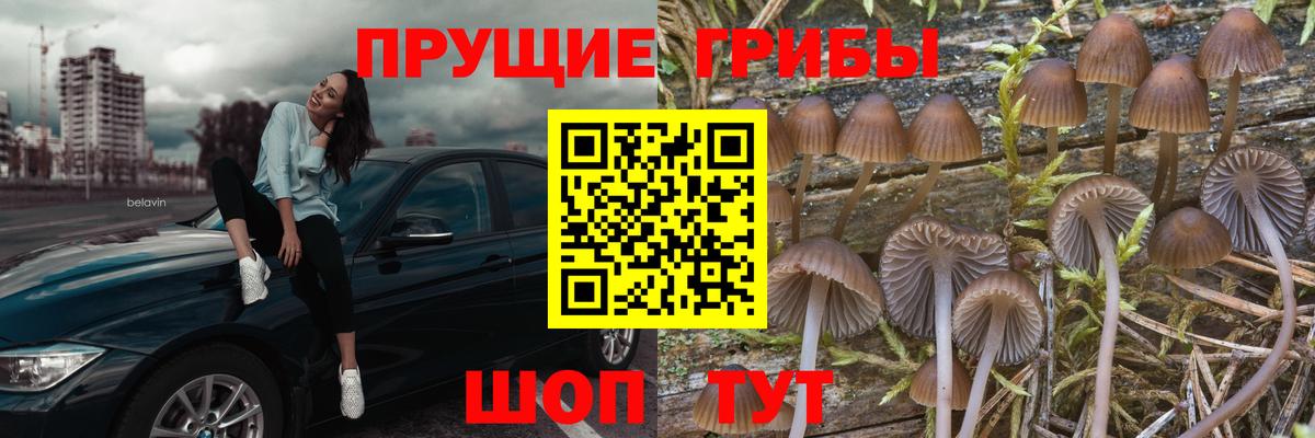 Верхняя Пышма  Псилоцибиновые грибы MAGIC MUSHROOMS  Вход с VPN  Галлюциногенные грибы Cubensis 