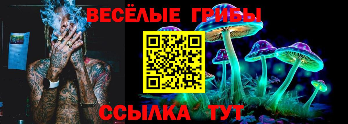 Псилоцибиновые грибы мицелий Верхняя Пышма